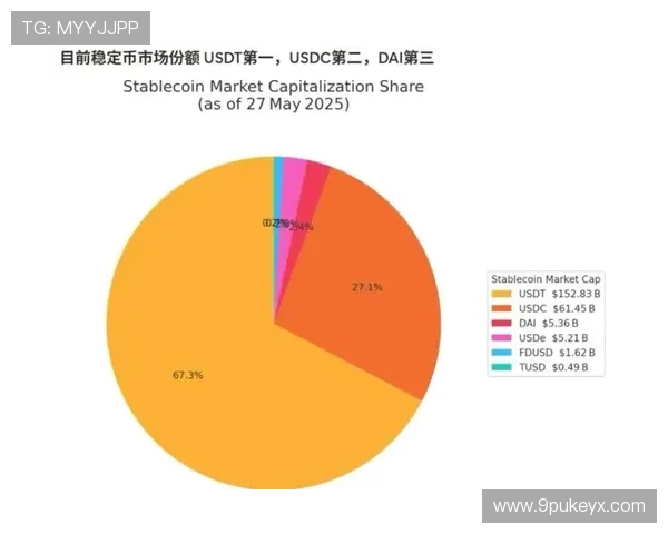 深入解析USDT项目：稳定币的未来与应用前景
