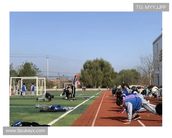 轻松访问ysb易胜博体育官方登录首页，畅享精彩体育体验